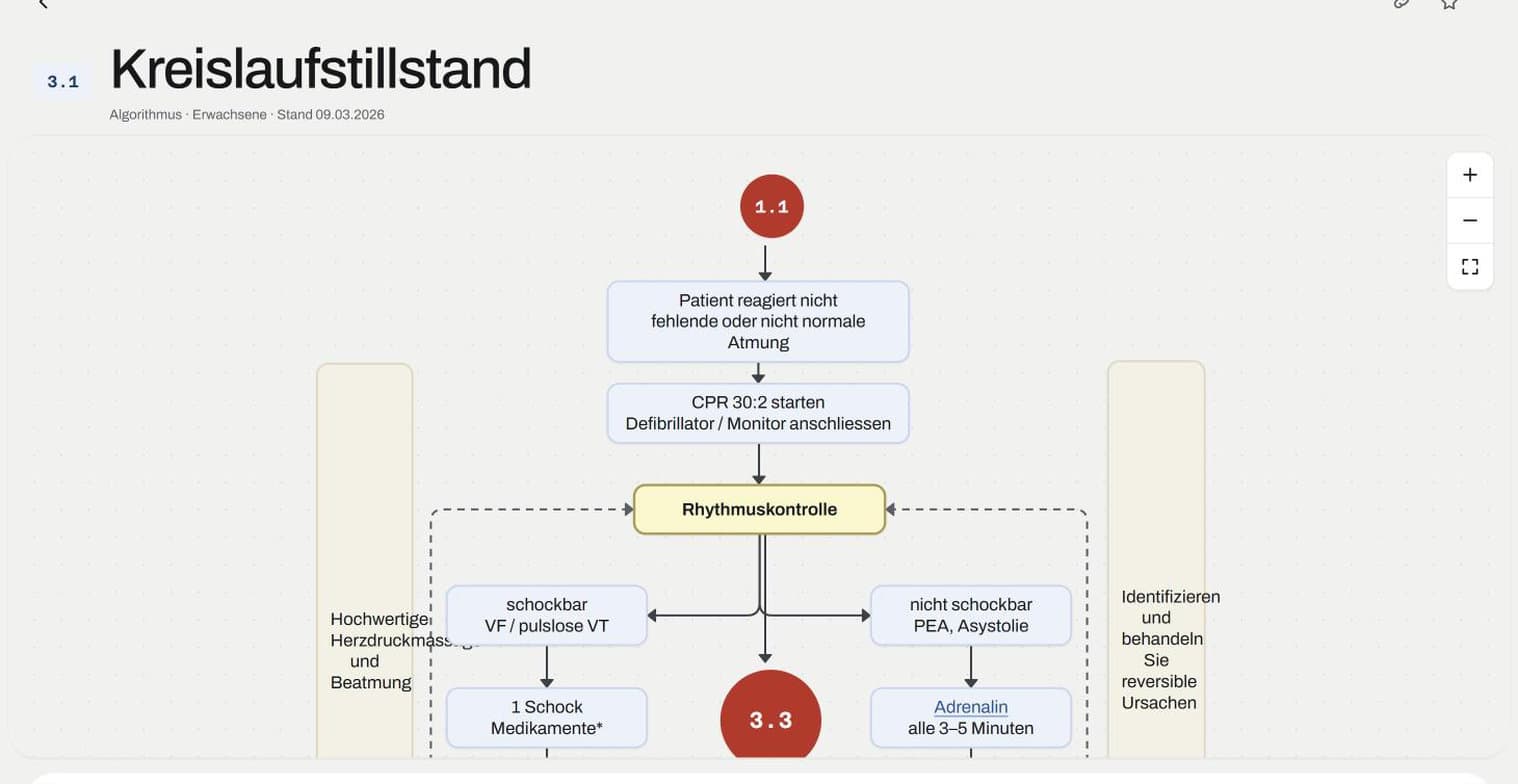 Algorithmus Kreislaufstillstand als Flussdiagramm mit Massnahmen, Entscheidungen und Verweisen